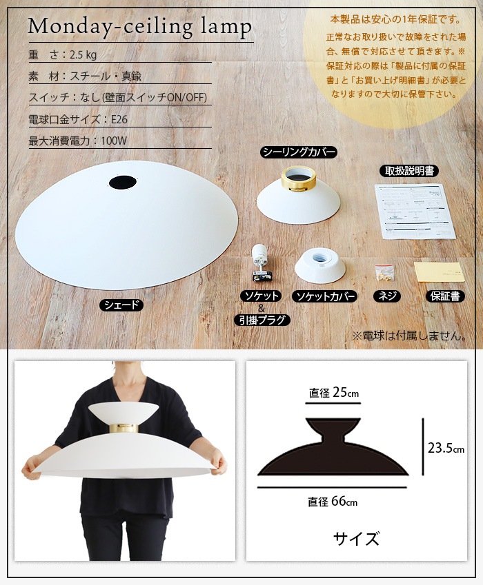 �����ȥ���������� �ޥ�ǥ� ������󥰥��� ARTWORK STUDIO Monday-ceiling lamp