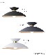 �����ȥ���������� �ޥ�ǥ� ������󥰥��� ARTWORK STUDIO Monday-ceiling lamp