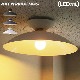 �����ȥ���������� �ޥ�ǥ� ������󥰥��� ARTWORK STUDIO Monday-ceiling lamp