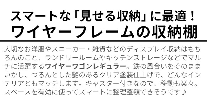�磻�䡼�若�� �쥮��顼 ���󥰥� WIRE WAGON REGULAR SINGLE