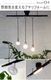 BRID LIGHTING DUCT RAIL with LED Double 003433