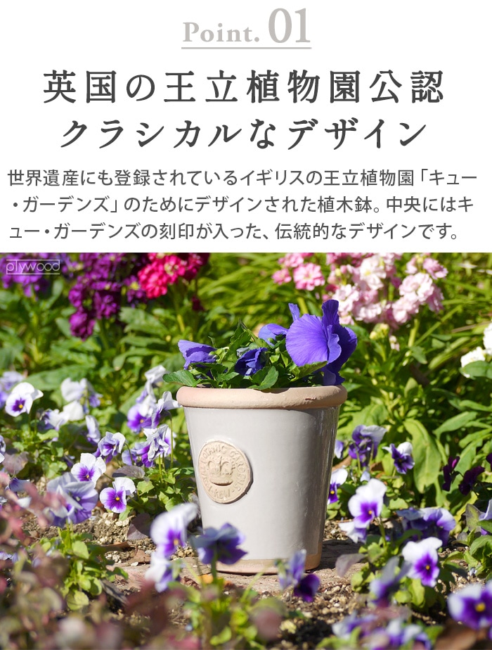 Kew Long Tom Pot ���塼�ݥå� [S������] ���ʤ�