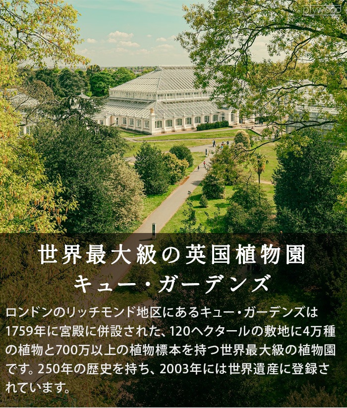 Kew Long Tom Pot ���塼�ݥå� [S������] ���ʤ�