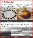 �ߥ˥ޥ����� ��������ۥ���� �㸯 minimal works MOGIBUL MGAC-SM000-GO0SI