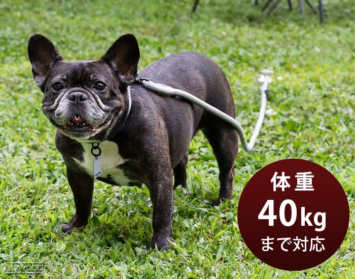  ɥåܥ顼 gris DOG BOLLARD DG0190SL