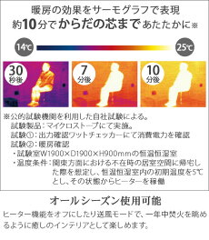 Dimplex Bellini II BLNII12NJ ٥꡼ 2