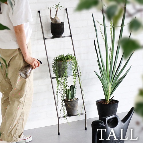 ウエストビレッジトーキョー ノップ ラダー ラック トール WEST