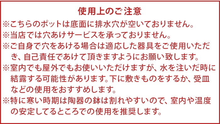 Kew Long Tom Pot ���塼�ݥå� [L������] ���ʤ�