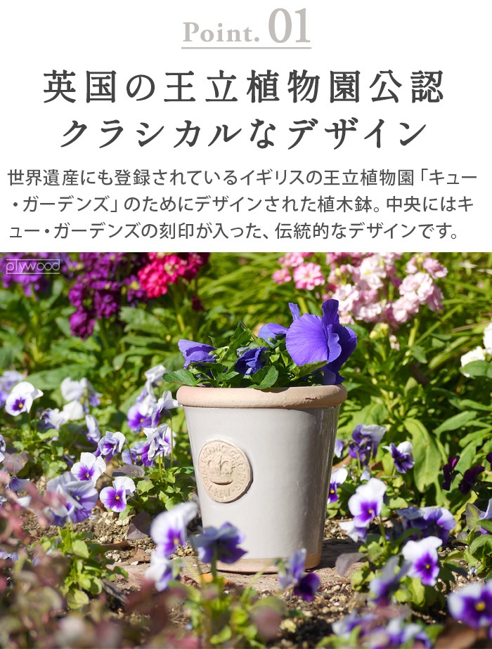 Kew Long Tom Pot ���塼�ݥå� [L������] ���ʤ�