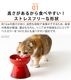 LE CREUSET �륯�롼�� �ϥ�������ɡ��ڥåȥܡ���