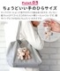 ˥ ӡХå  BB Bean Bags Kyering
