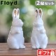 ե  եӥå å Floyd Fortune Rabbit set FL02-01711