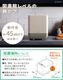 �쥳��� �����߽����� recolte Food Waste Disposer ���꡼��ۥ磻�� RDP-2