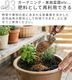 �쥳��� �����߽����� recolte Food Waste Disposer ���꡼��ۥ磻�� RDP-2