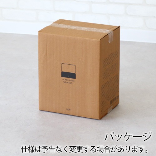 �ҥ� �Х� �ǥ��ơ��� ���饹�ɡ��� �쥯���󥰥�1 HERE by DETAIL Glass Dome WB-RECT-1