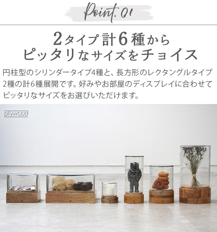 �ҥ� �Х� �ǥ��ơ��� ���饹�ɡ��� �쥯���󥰥�1 HERE by DETAIL Glass Dome WB-RECT-1