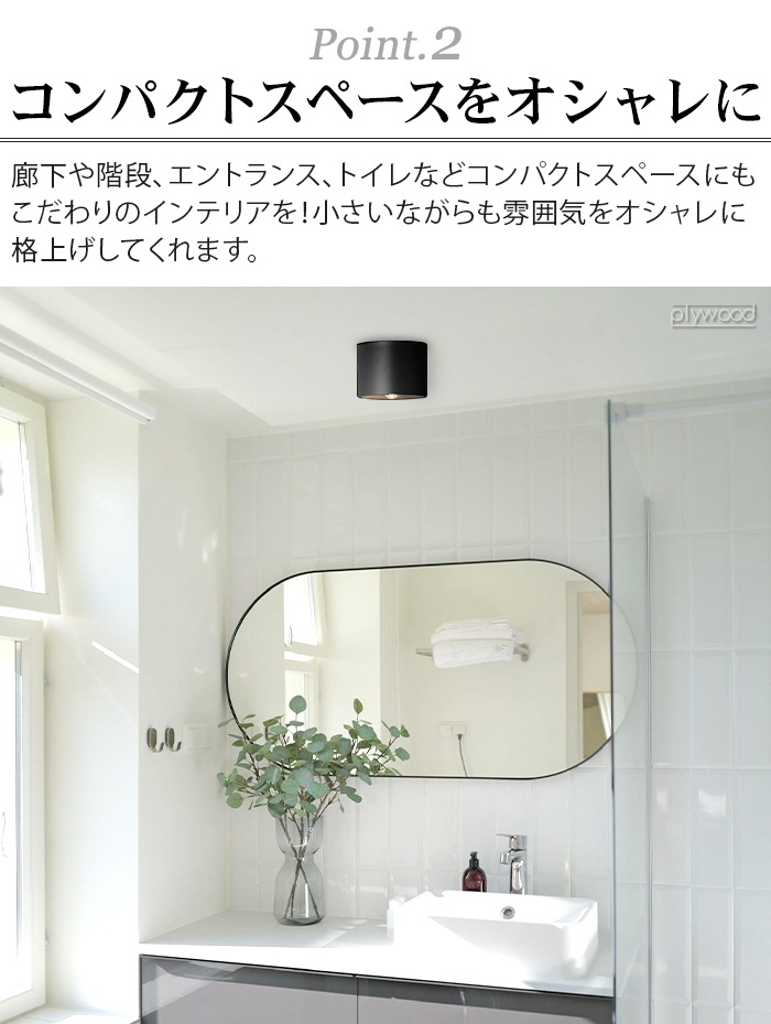 ȥ  󥰥饤 ֥饹 ARTWORKSTUDIO Eve-ceiling light BLASS ŵ