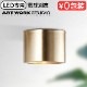 ȥ  󥰥饤 ֥饹 ARTWORKSTUDIO Eve-ceiling light BLASS ŵ