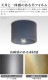 ȥ  󥰥饤 ֥饹 ARTWORKSTUDIO Eve-ceiling light BLASS ŵ