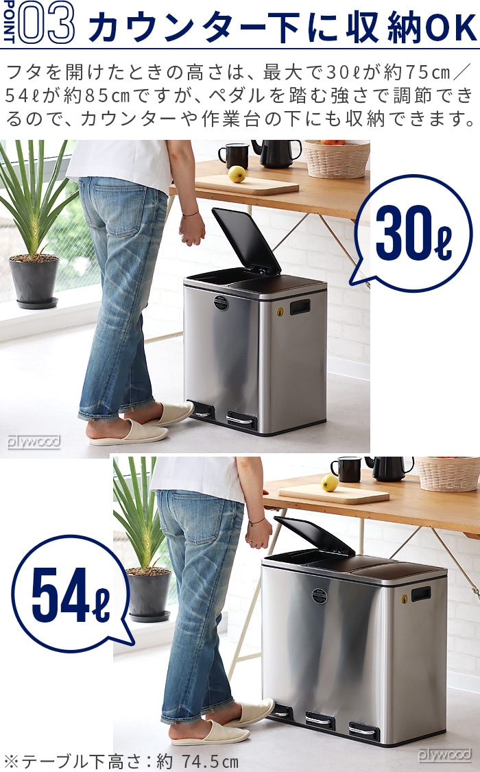 ����ȥ� ����ѡ��ȥ��� �ӥ� 30L ( 15L �� 2ʬ�� )  DULTON 2-compartment bin