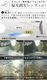 �����쥹 ���������� �и�Ĵ�����졼 SL-2 SL-206 Sorless eyewear SUNGLASSES