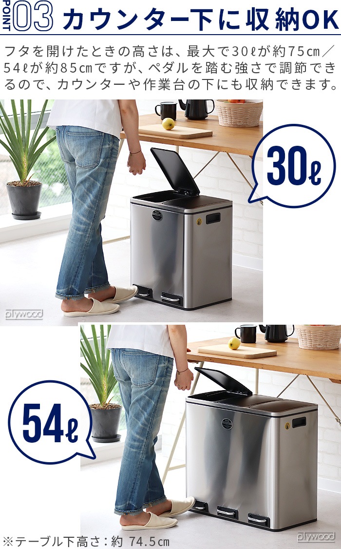 ����ȥ� ����ѡ��ȥ��� �ӥ� 54L ( 18L �� 3ʬ�� ) DULTON 3-compartment bin