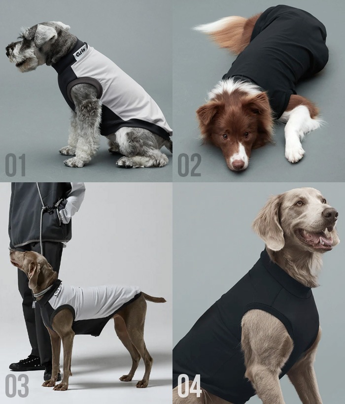   å gris ROB SWEAT [M DG0053 / L DG0054 / XL DG0055 / XXL DG0056]