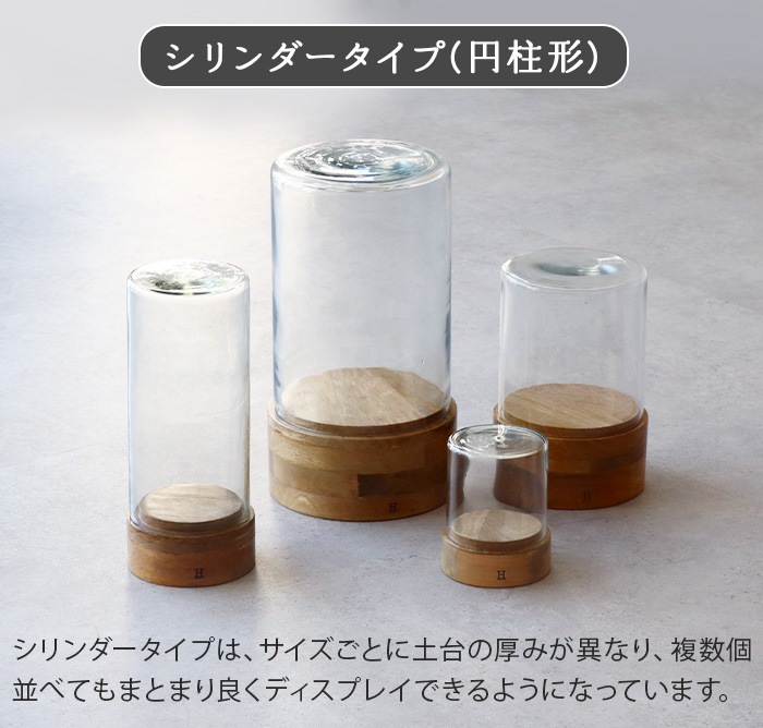 �ҥ� �Х� �ǥ��ơ��� ���饹�ɡ��� ��������2 HERE by DETAIL Glass Dome WB-CYL-2