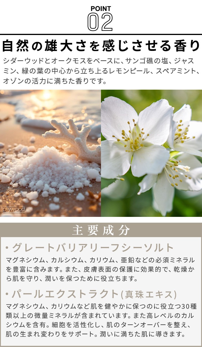 �ޥ���ӡ��� ���졼�ȥХꥢ�꡼�� ��奯�� �ܥǥ����ࡼ�� 150ml MAINE BEACH GREAT BARRIER REEF LUXE BODY MOUSSE