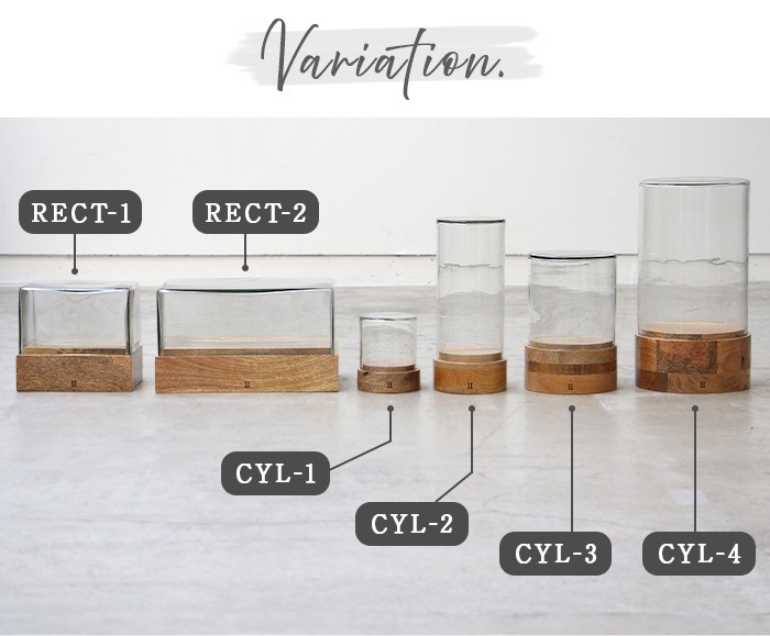 �ҥ� �Х� �ǥ��ơ��� ���饹�ɡ��� ��������4 HERE by DETAIL Glass Dome WB-CYL-4