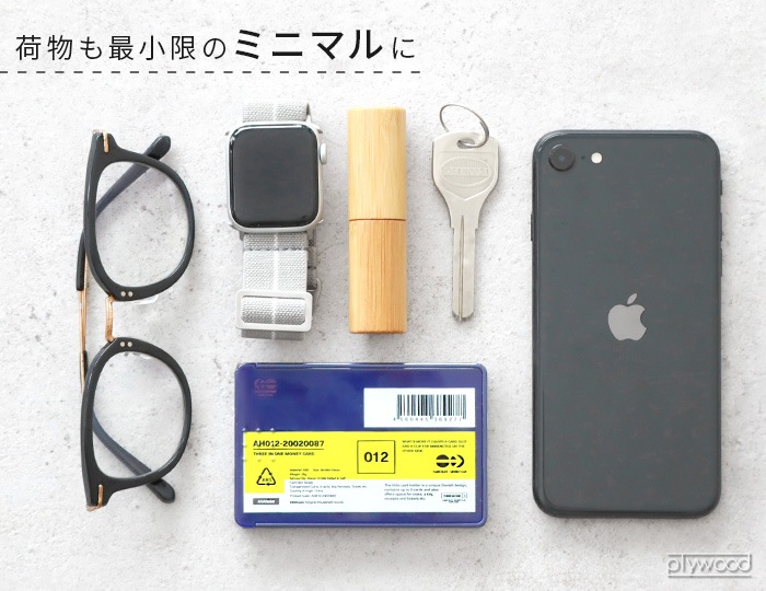 ͥݥOK ʥϥ ޥ͡ ANAheim Money Card