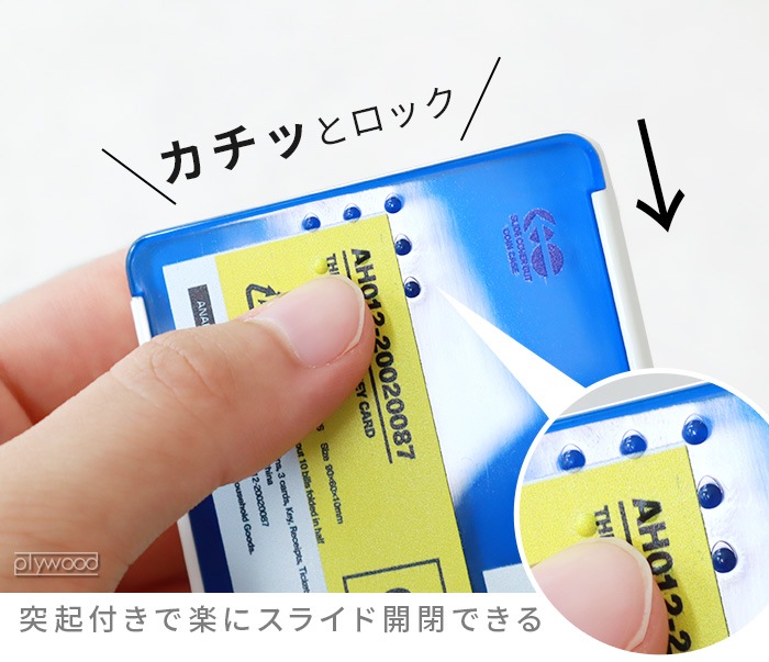 ͥݥOK ʥϥ ޥ͡ ANAheim Money Card