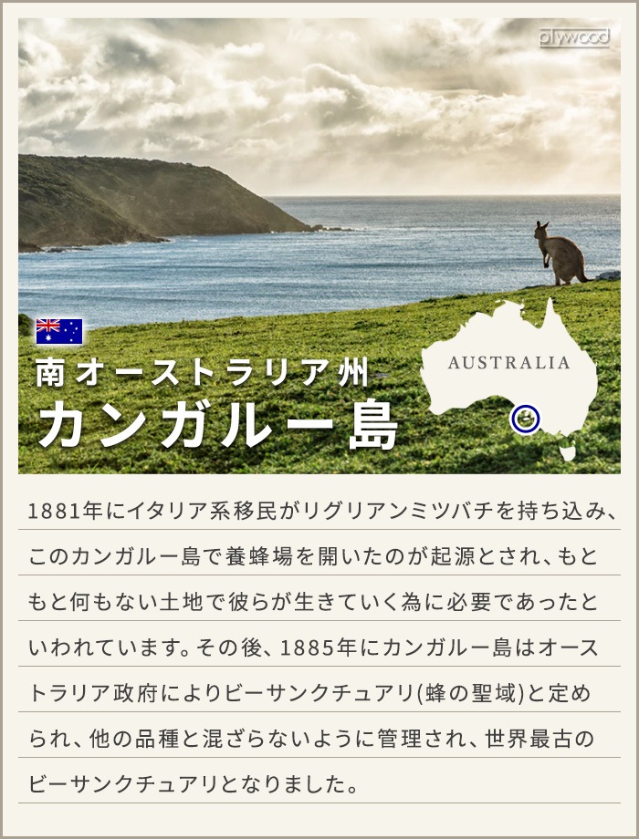 Maine Beach Ligurian Honey �ޥ���ӡ��� �ꥰ�ꥢ��ϥˡ� ��奯�� �ܥǥ����ࡼ�� 100ml