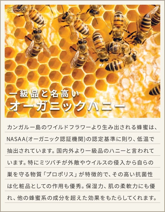 Maine Beach Ligurian Honey �ޥ���ӡ��� �ꥰ�ꥢ��ϥˡ� ��奯�� �ܥǥ����ࡼ�� 100ml