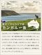 Maine Beach Ligurian Honey �ޥ���ӡ��� �ꥰ�ꥢ��ϥˡ� ��奯�� �ܥǥ����ࡼ�� 100ml