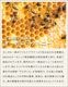 Maine Beach Ligurian Honey �ޥ���ӡ��� �ꥰ�ꥢ��ϥˡ� ��奯�� �ܥǥ����ࡼ�� 100ml