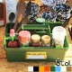 �ڥ� ���ȥ졼������ǥ�penco STORAGE CADDY