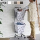 �֥�å� ���ɥ꡼ �������� �Х����å� [30L / 2BOX / ���㥹�����դ�] BRID laundry SQUARE BASKET DOUBLE with CASTER