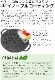 JHQ Ŵ�ĥޥ������ɥ� 19cm