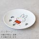 Miffy Standard Series �ߥåե��� ����������� ���꡼�� [ CM-6 �ݻ� ]