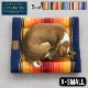 ڥɥȥ եȥå X-Small PENDLETON Comfort Cushion å⡼륵