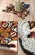 ���٥��󥿥������饰 �ߥǥ����� DETAIL Tibetan Tiger Rug M������ DTTR-01 / DTTR-02