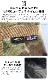 �Хꥹ�ƥ����� ���󥰥ڥ����ġ���Хå� BALLISTICS LONG PEG �� TOOL BAG BAA-2212