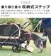 ڥ᡼ľʡAIRBUGGY AIR CRUISER SET 롼å [١ܥ롼]