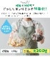 �������о� �쥳��� �����߽����� recolte Food Waste Disposer RDP-1
