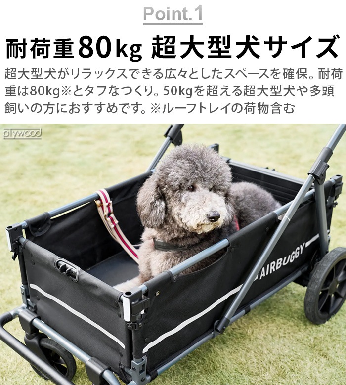 ڥ᡼ľʡAIRBUGGY AIR CRUISER SET 롼å [١ܥ롼աܥ롼եȥ쥤]