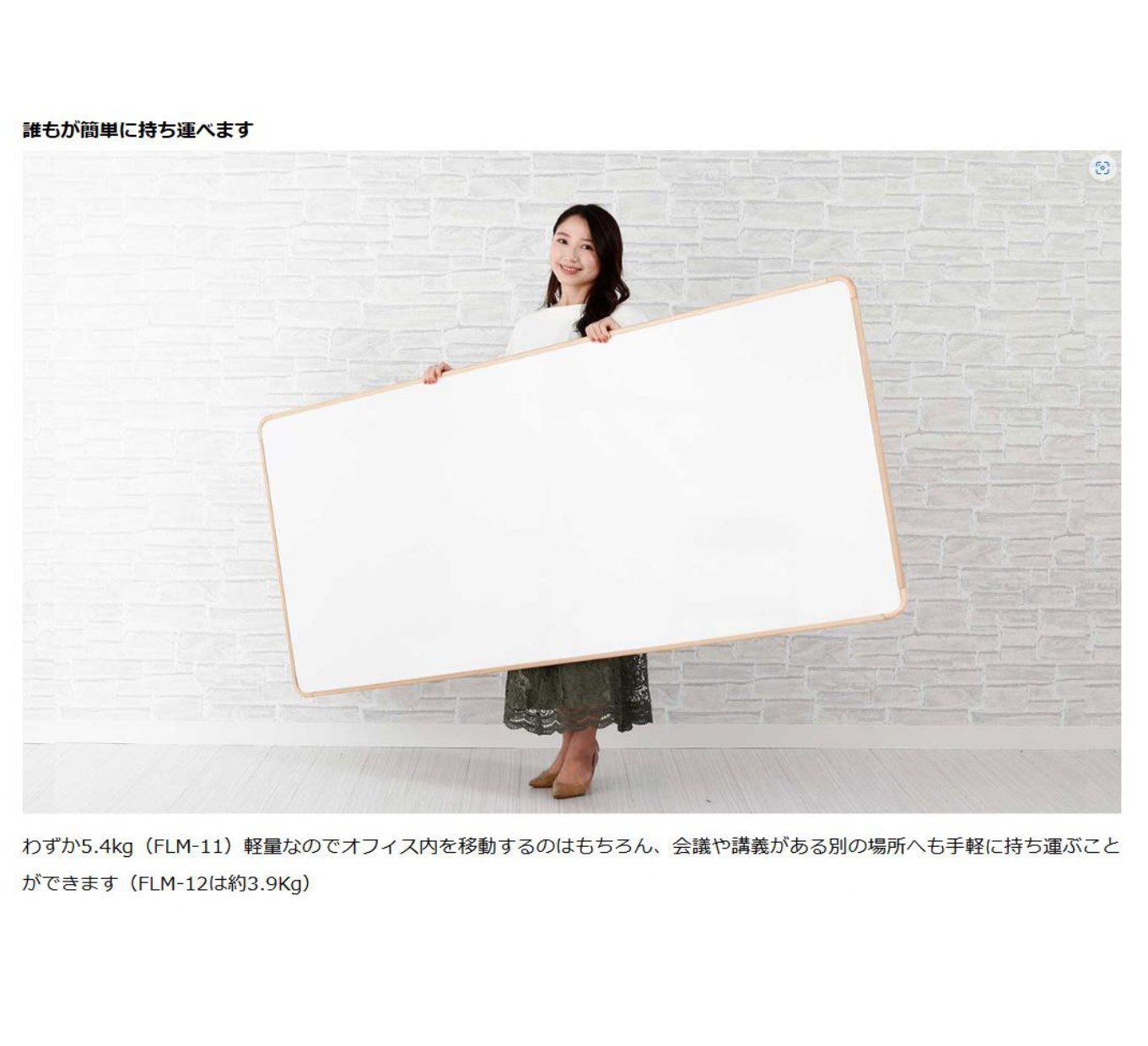 フレックスムーブ　FLM-12