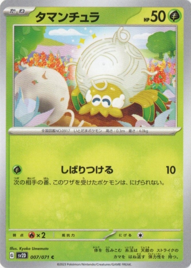 クレイバースト　40パック カップ入りバッククロスベアトップ[ai85] | レディース