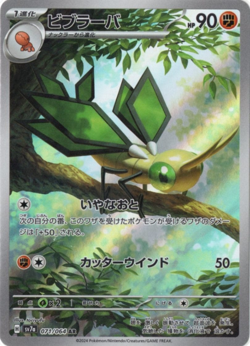 楽園ドラゴーナ　2BOXセット Amazon.co.jp: ポケモンカードゲーム スカーレット&バイオレット