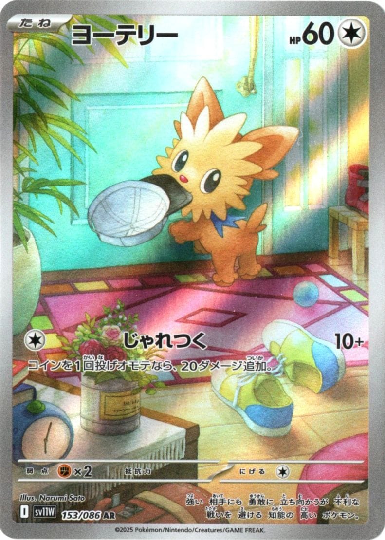 拡張パック,ホワイトフレア | ポケットゾーン